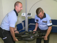 Un hoț s-a chinuit 2 zile să fure o statuetă. Cum a fost prins de polițiști