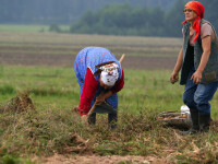 “Satul blestemat”. Locul in care de 10 ani nu s-a mai nascut niciun baiat