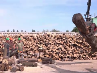85% din gospodăriile din mediul rural se încălzesc cu lemne. Cât plătesc românii