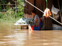 Inundatii in Thailanda - 1