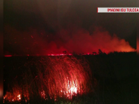Incendiu puternic în Delta Dunării. 10 hectare de vegetaţie uscată, cuprinse de flăcări