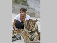 Motivul pentru care peste 80 de tigrii salvaţi dintr-un templu budist au murit
