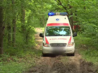 Trei bărbați reținuți în cazul pădurarului ucis în Iași. Suspecții, duși la Socola