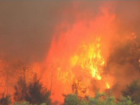 Incendii puternice pe insula Zakynthos