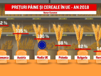 Avem cea mai ieftină pâne din Europa. România, fruntașă la exportul de grâu în Uniune