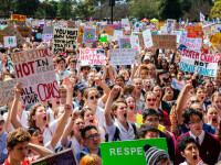 Planeta intră în grevă. Mii de proteste azi în toată lumea față de schimbările climatice - 7