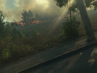 Incendiu de vegetație în București - 2