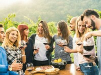 Crame din România unde poți degusta vinuri tradiționale