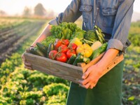 (P) NuOricum.ro - magazin online de produse fitosanitare și agronutrienți