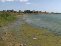 Lacul Techirghiol, grav afectat de seceta extremă. Ce se întâmplă cu nămolul terapeutic