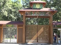 Grădinile Zoologice, punct de atracţie pentru turiştii români în pandemie