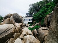 (P) Casa eco-friendly: 4 materiale de construcții care nu poluează