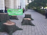 Protest cu drujbe la Ministerul Mediului: Copacii trebuie lăsăți să crească și să moară în treaba lor