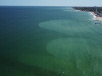 Spectacol neobișnuit oferit de Marea Neagră: Apa are două culori. Cum este posibil