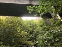 Accident provocat de un adolescent de 16 ani, din Vâlcea. A zburat de pe pod cu mașina de la 20 de m înălțime