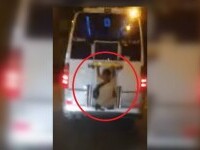 Un bărbat a mers atârnat de un autobuz prin Constanța. VIDEO