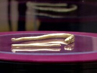 Un bărbat care a descoperit o brățară dacică s-a ales cu dosar penal. Putea primi 20.000 de euro dacă anunța autoritățile