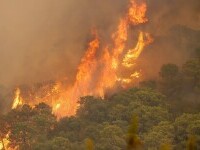 VIDEO. Incendiu devastator în Spania. Un pompier a murit, iar cel puțin 1.000 de persoane au fost evacuate