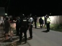 Bătaie de proporții în comuna Vlădești, pornită de la încăierarea unor câini. Polițiștii au fost depășiți numeric