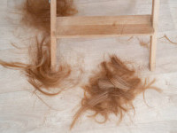 O fetiță s-a întors de la școală cu părul tuns de o profesoară. Tatăl cere despăgubiri de 1 milion de dolari