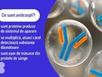 anticorpi