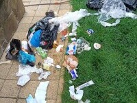 Un cunoscut medic din Brașov, după ce un urs i-a răvășit curtea: Angajez vânător. Ofer casă-masă până la recoltarea lui