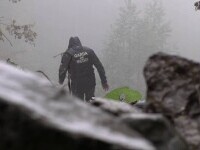 O exploatare forestieră din Prahova a devenit coșmarul locuitorilor din Valea Doftanei. Ce s-a întâmplat în zonă