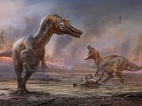 FOTO Noi specii de dinozauri au fost descoperite. Detaliile surprinzătoare oferite de cercetători