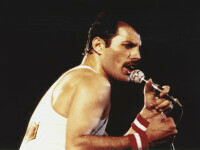 Freddie Mercury - 18