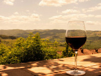 Cât de bun este vinul roșu pentru sănătate - poziția oficială a OMS