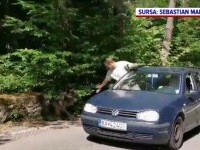 Un turist s-a aplecat pe geamul mașinii ca să smotocească ursul, pe Transfăgărășan. Ce s-a întâmplat după
