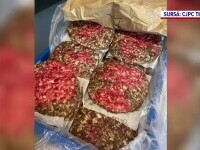 Mai multe restaurante din Complexul Studențesc din Timișoara au fost închise și amendate din cauza mai multor nereguli