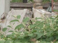 femeie moarta cluj cimitir