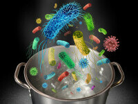 Bacterii temperatura