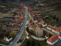 valea viilor