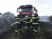 Incendiile de vegetație provoacă dezastru în întreaga țară. Salvatorii au ajuns să lupte și cu inconștiența oamenilor