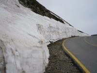 Transalpina