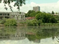 lac bucuresti