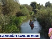 Aventură cu caiacul pe Canalul Morii. Brațul râului lăsat în paragină a prins din nou viață