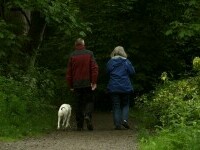 (P) Neretragerea: Un nou antidot pentru provocările post-retragere