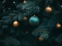 (P) De ce vedetele cumpără brazi artificiali 3D încă din timpul verii