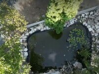 copil inecat Timişoara