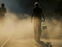 Cod galben de caniculă în mai multe județe din România. Cât timp e valabil și care vor fi temperaturile maxime | HARTĂ