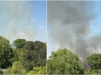 Incendiu puternic la Grădina Zoologică București. Flăcările au cuprins circa 2.000 de metri pătrați