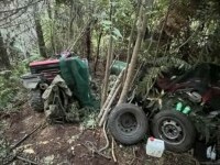 Cei 3 copii ai unei femei au dispărut de 4 ani, în Noua Zeelandă