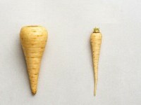 patrunjel si pastarnac