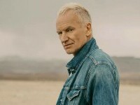 sting