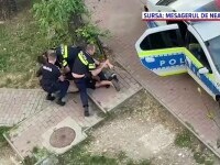 imobilizati, politisti, piatra neamt