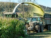 (P) Cum se poate menține calitatea silozului un timp îndelungat