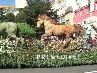 Spectacolul florilor a adus magie în Târgu Mureș. Sutele de spectatori au admirat carele alegorice colorate
